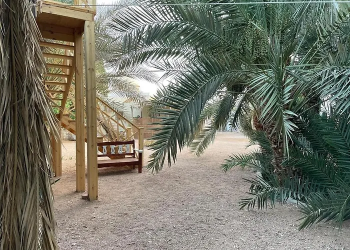 Palm Nest دهب