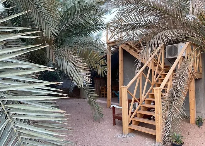 Palm Nest *