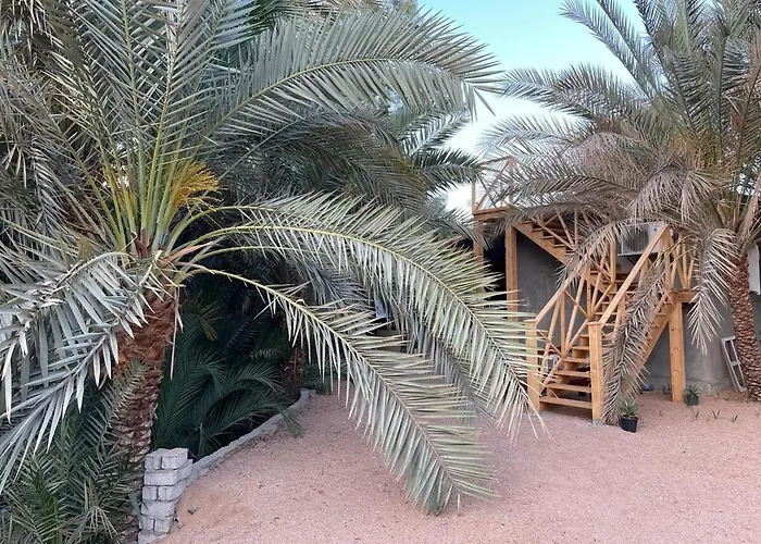 Palm Nest *