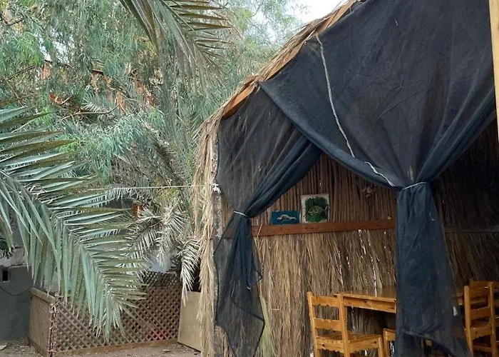 Palm Nest شقة دهب